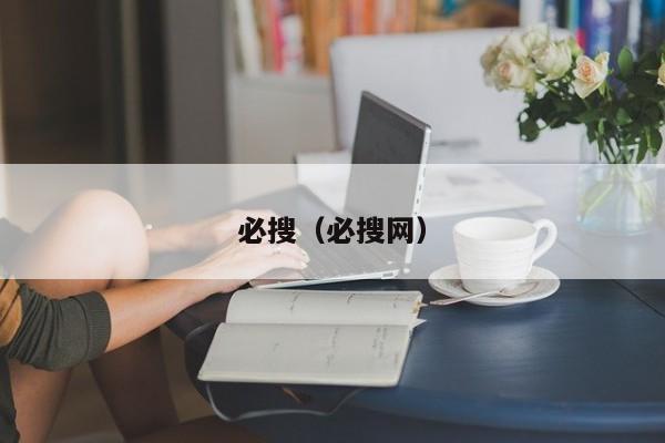 必搜（必搜网）