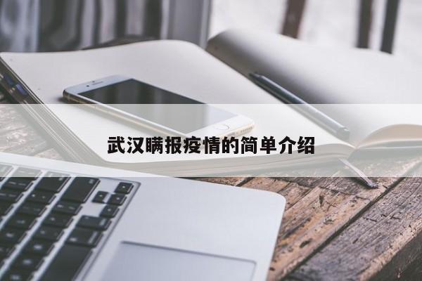 武汉瞒报疫情的简单介绍